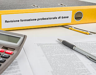 Revisione formazione professionale di base