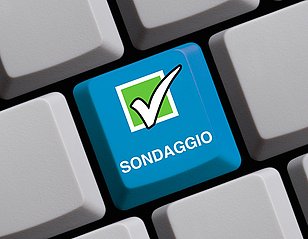 Revisione disegnatore/trice-metalcostruttore/trice AFC